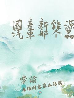 国产新能源电动汽车哪个品牌好