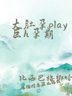 大肚孕play巨h孕期