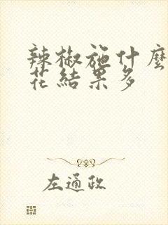 辣椒施什么肥开花结果多