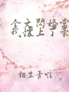 全文闪婚当天,我怀上了豪门继承人