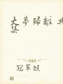 大梦归离 共几集