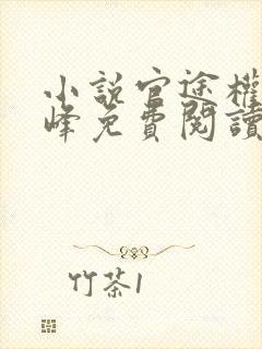 小说官途权力巅峰免费阅读