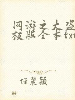 网游之大盗贼精校版全本txt