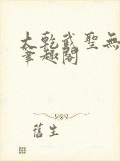 大乾武圣无弹窗笔趣阁