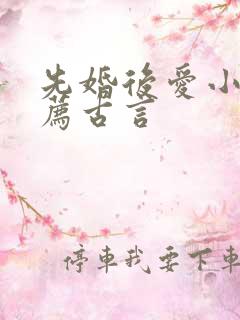 先婚后爱小说推荐古言