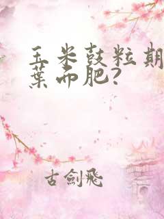 玉米鼓粒期喷什叶面肥?