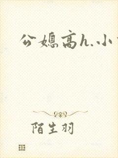 公媳高h.小说