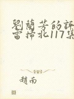 刘兰芳的评书岳雷扫北117集