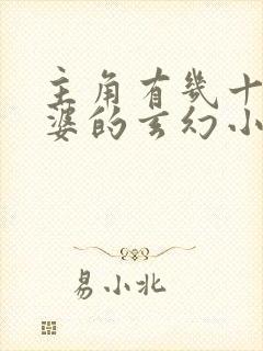 主角有几十个老婆的玄幻小说
