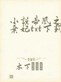 小说帝凰之神医弃妃txt下载