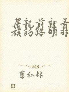 屠龙前就看过龙族的路明非