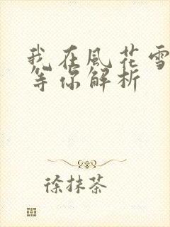 我在风花雪月里等你解析