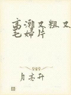 高潮又粗又爽的毛妇片