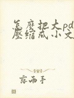 怎么把大pdf压缩成小文件