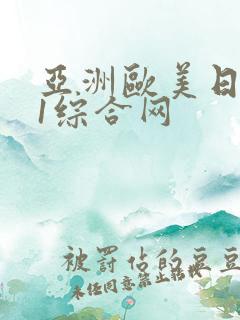 亚洲欧美日韩91综合网