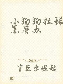 小狗狗拉稀带血怎么办
