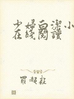 少妇白洁小说 在线阅读