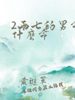 2两七的男命是什么命