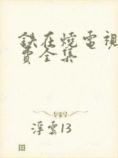 铁在烧电视剧免费全集