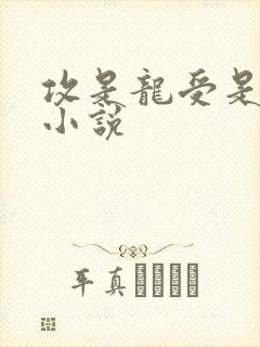 攻是龙受是人的小说