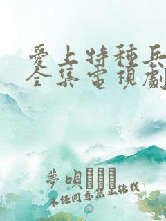 爱上特种兵免费全集电视剧