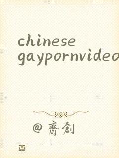chinesegaypornvideo