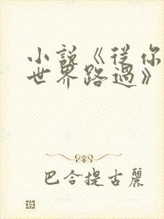 小说《从你的全世界路过》