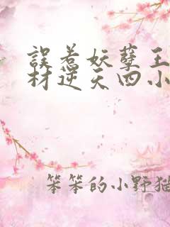 误惹妖孽王爷废材逆天四小姐 小说