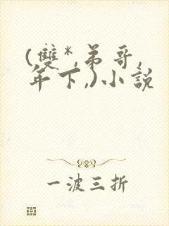 (双*,弟哥,年下,)小说
