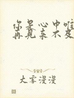 你是心中唯一说再见来不及歌词