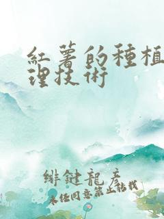 红薯的种植与管理技术