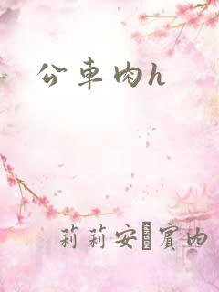 公车肉h