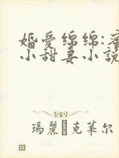 婚爱绵绵:蜜宠小甜妻小说