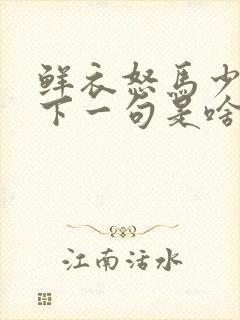 鲜衣怒马少年郎下一句是啥