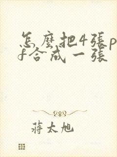 怎么把4张pdf合成一张