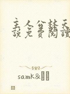 主人公林天的小说免费阅读
