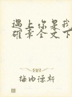 遇上你是我的小确幸全文下载