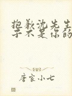 抱歉沈先生,孩子不是你的短剧合集