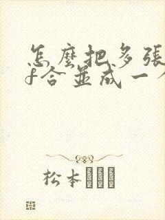 怎么把多张pdf合并成一个