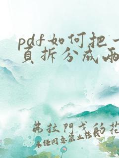 pdf如何把一页拆分成两页打印