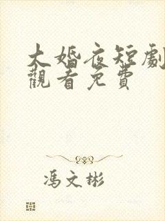 大婚夜短剧在线观看免费