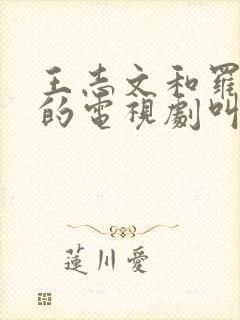 王志文和罗晋演的电视剧叫什么名字
