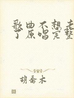 歌曲不想老也老了原唱完整版