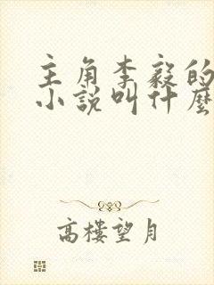 主角李毅的官场小说叫什么名字