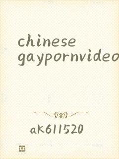 chinesegaypornvideo