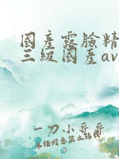 国产露脸精品产三级国产av
