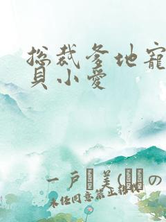 总裁爹地宠上天贝小爱