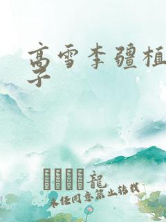 高雪李疆植物儿子