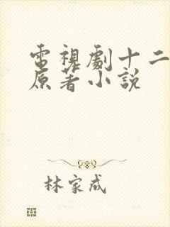 电视剧十二封信原著小说