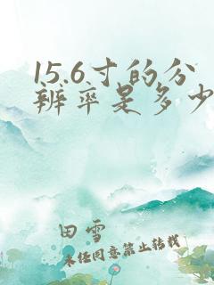 15.6寸的分辨率是多少